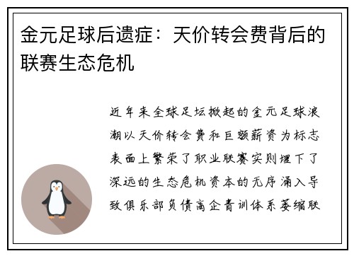 金元足球后遗症：天价转会费背后的联赛生态危机
